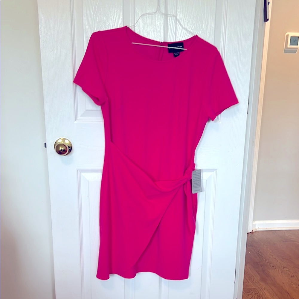 Nordstrom Pink Sheath Mini Dress Short Sleeve Crew Neck
Fits like a 10